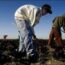 Children Left Behind-America's Child Labor Problem