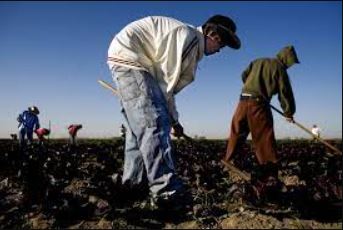 Children Left Behind-America’s Child Labor Problem