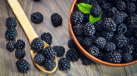 Is Blackberries Good For Men Health?