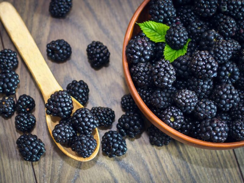 Is Blackberries Good For Men Health?