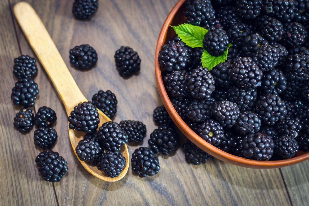 Is Blackberries Good For Men Health?