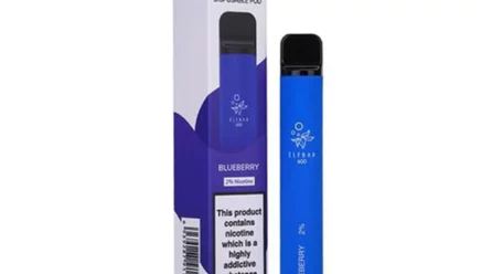 Beginner’s Guide To Blueberry Elf Bars