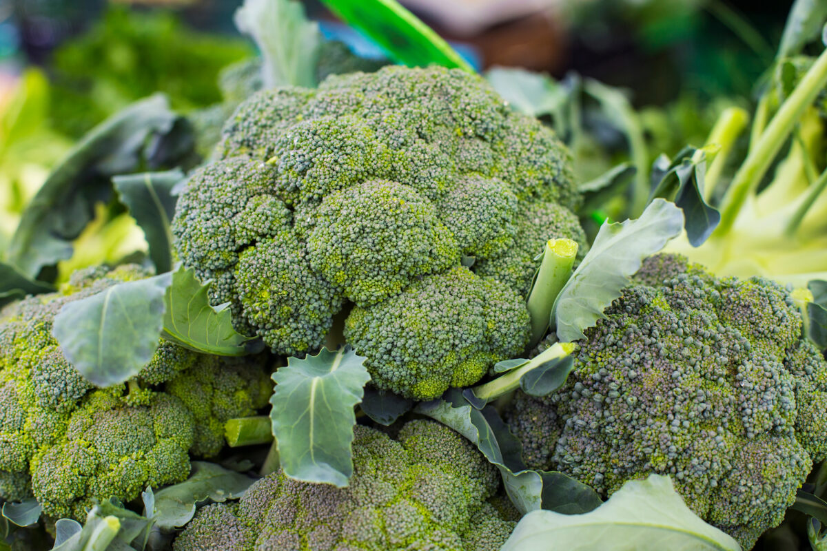 Broccoli Nutrition Facts And Health Benefits