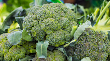 Broccoli Nutrition Facts And Health Benefits