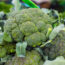 Broccoli Nutrition Facts And Health Benefits