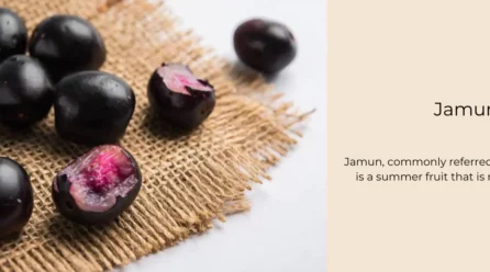 Falsa Fruit, Phalsa (Grewia asiatica) – Uses and Benefits