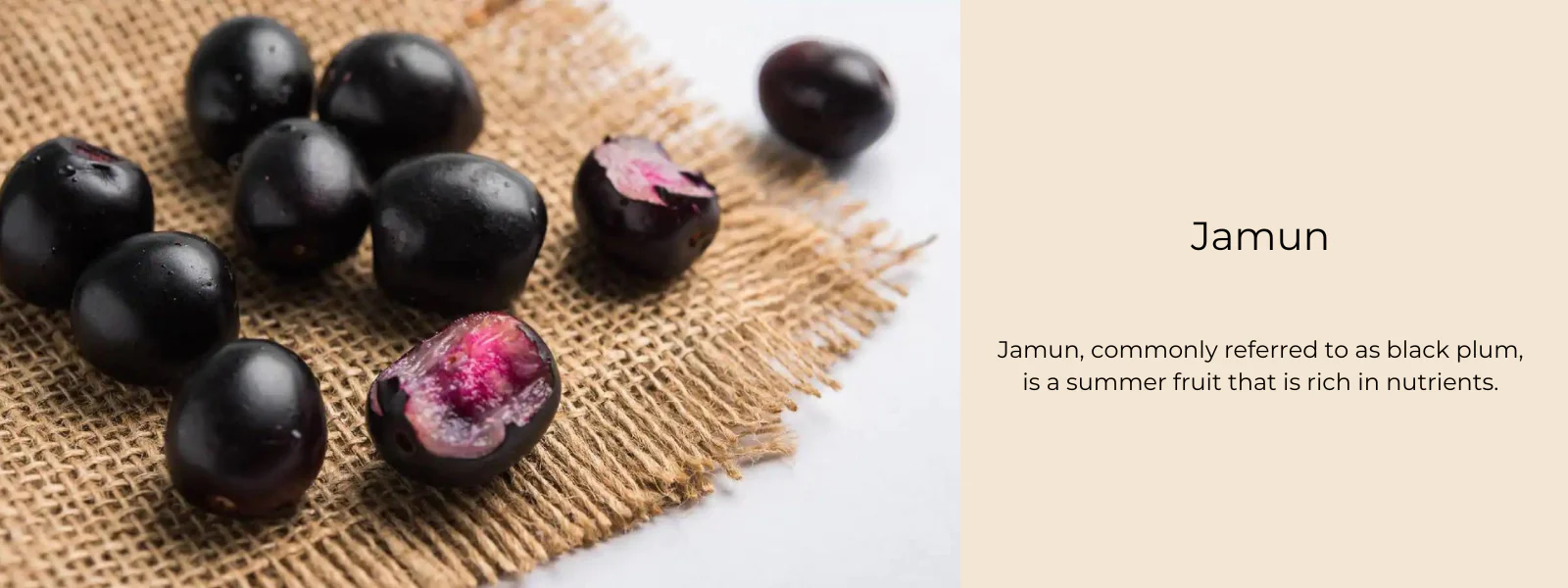 Falsa Fruit, Phalsa (Grewia asiatica) – Uses and Benefits
