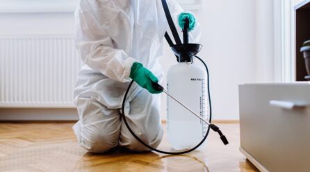 <strong>Green Pest Control Solutions for East York Residents</strong>