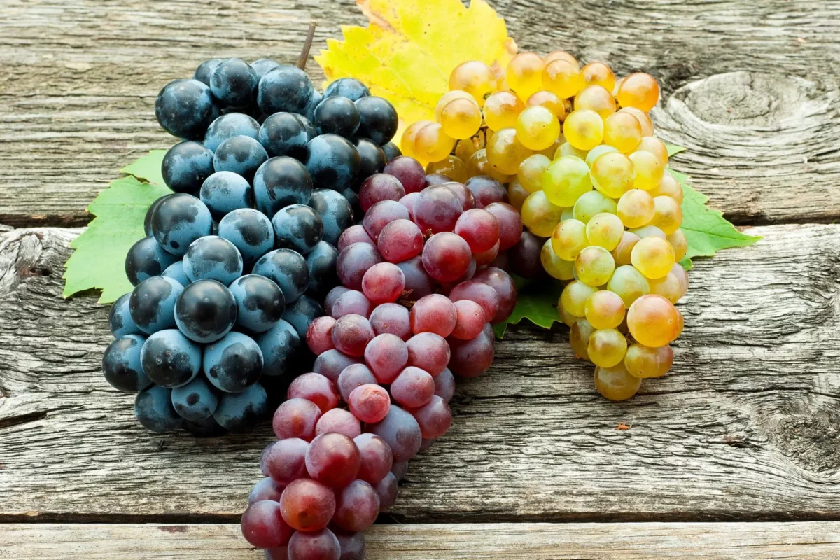 Quite A Few Benefits Grapes Have For Men’s Health.