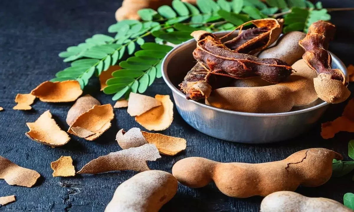 Tamarind Fruit Health Advantages