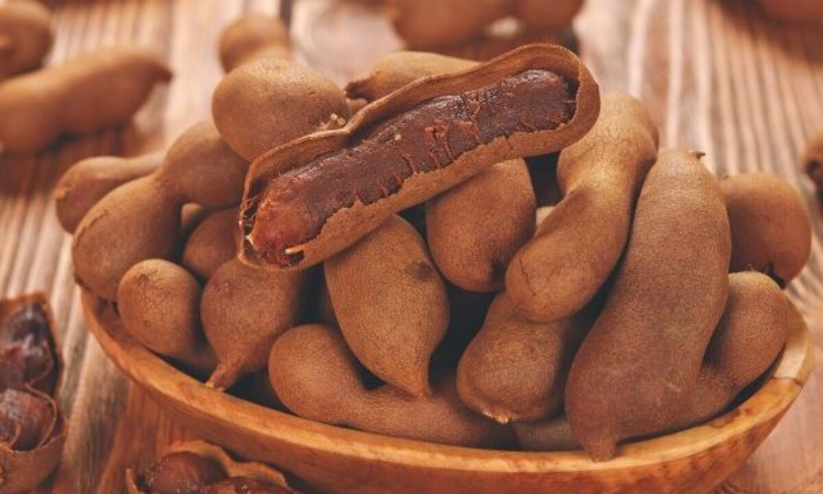 Tamarind’s medical advantages are recorded here
