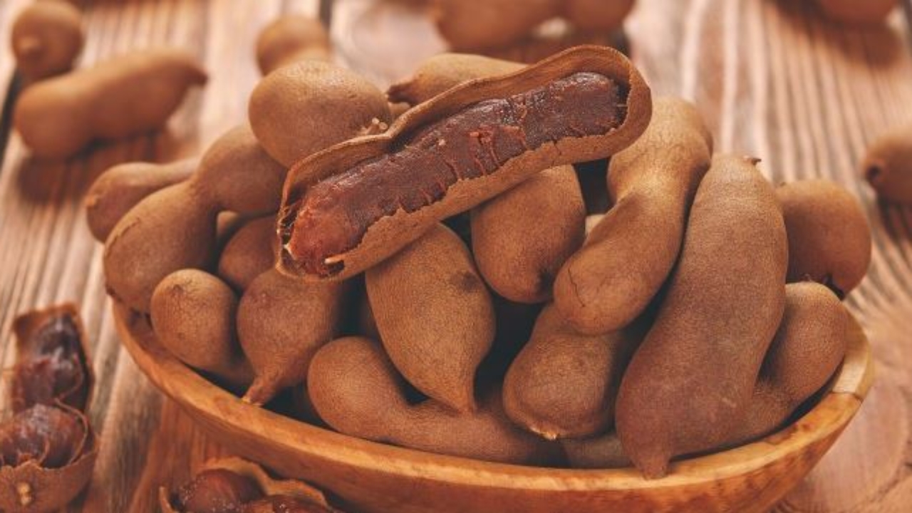 Tamarind’s medical advantages are recorded here