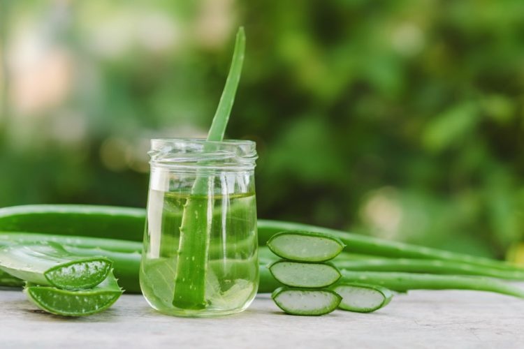 The Benefits Of Using Aloe Vera Are Numerous