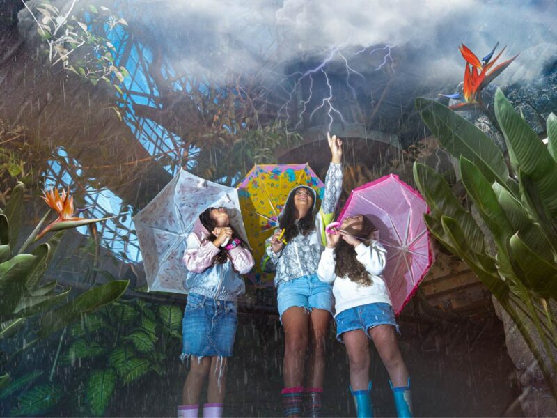 Green Planet Dubai’s Top Attractions and Must-See Exhibits