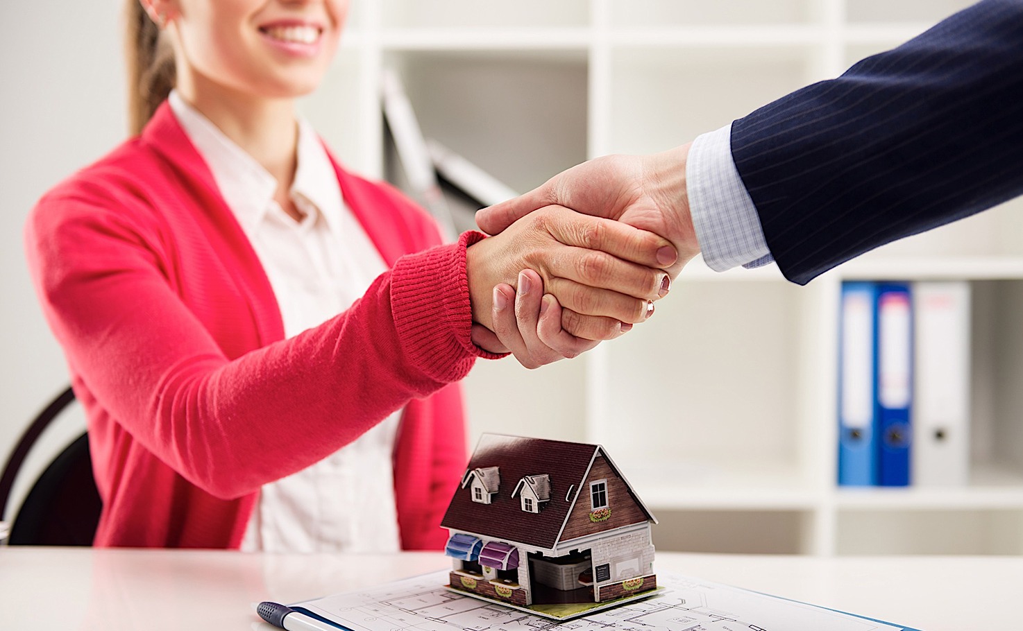 Real Estate Agent