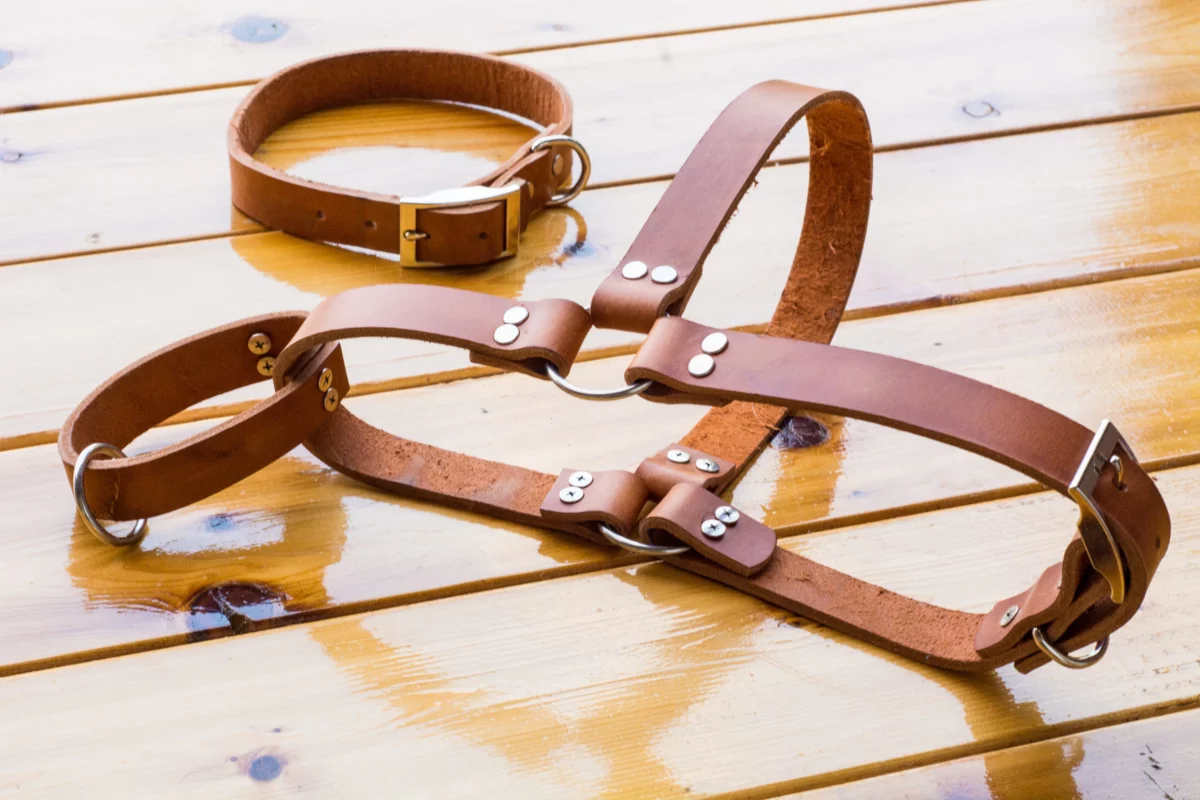 <strong>Best Leather Dog Harness</strong>