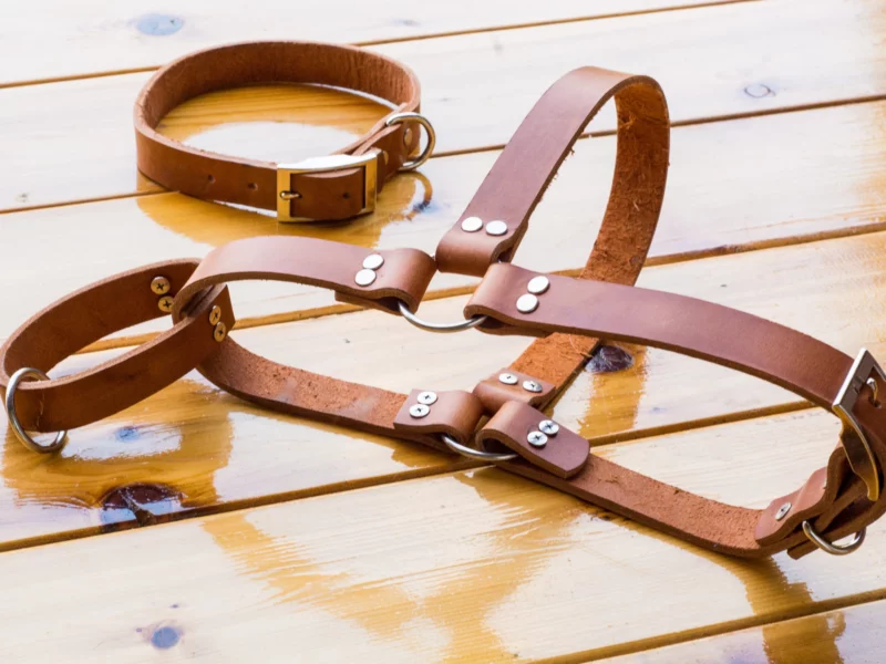 <strong>Best Leather Dog Harness</strong>